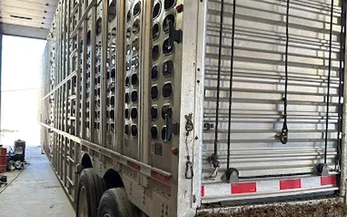 Livestock trailer at STS Truck Services representing Fremont Nebraska agricultural and commercial diesel repair support
